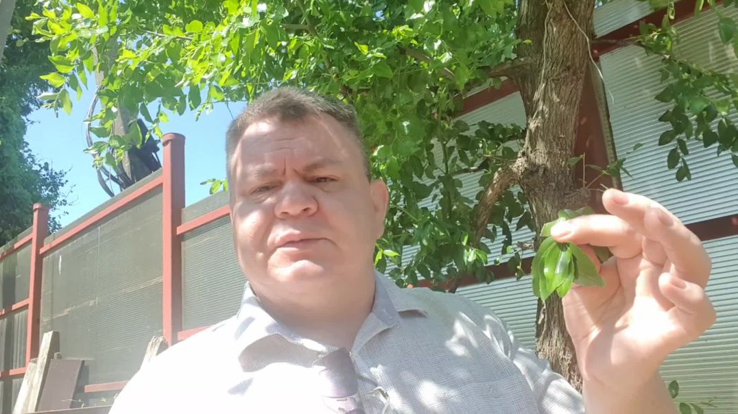 Пробник СтопДиабет.РФ